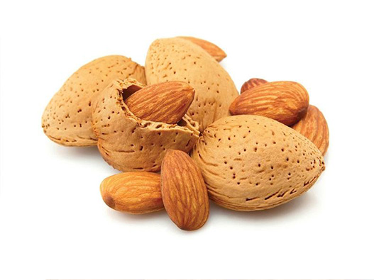 杏仁商標(biāo)注冊(cè)哪一類?