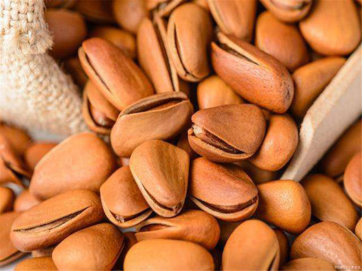 松子商標(biāo)注冊(cè)哪一類?