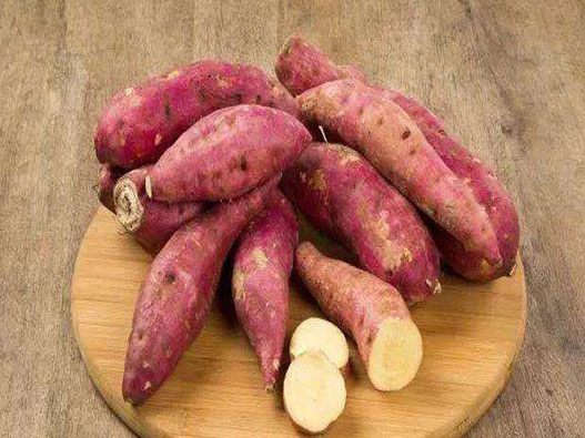 番薯商標注冊哪一類?