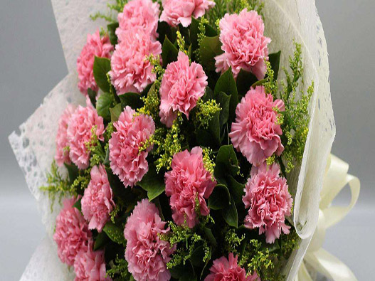 香石竹商標注冊哪一類?