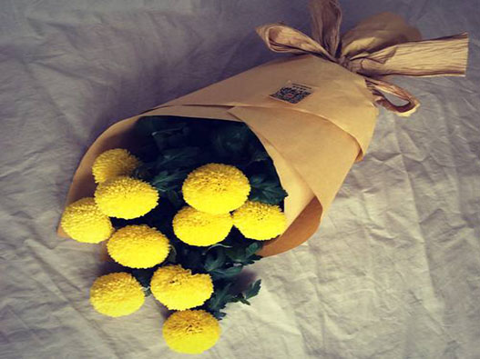 乒乓菊商標注冊哪一類?