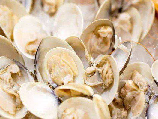 蛤蜊商標注冊哪一類?