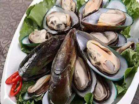 貽貝商標注冊哪一類?