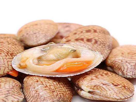 芒果貝商標注冊哪一類?