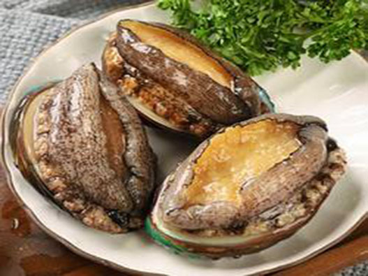 鮑魚商標注冊哪一類?