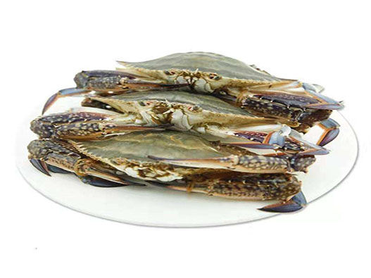 梭子蟹商標注冊哪一類?