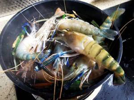 金錢蝦商標注冊哪一類?