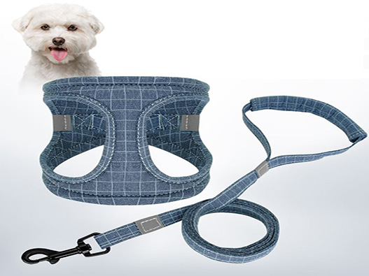 寵物牽引繩商標注冊哪一類?