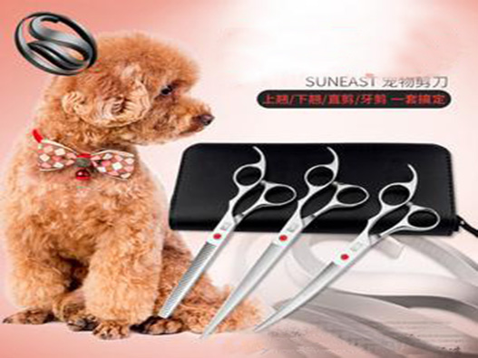 寵物美容工具商標注冊哪一類?