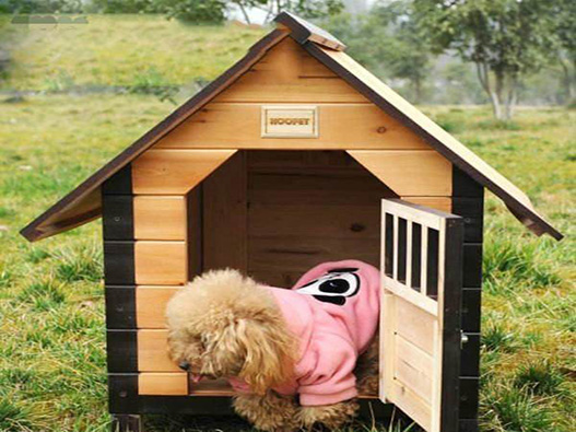 寵物屋商標注冊哪一類?