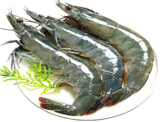 虎蝦商標注冊哪一類?