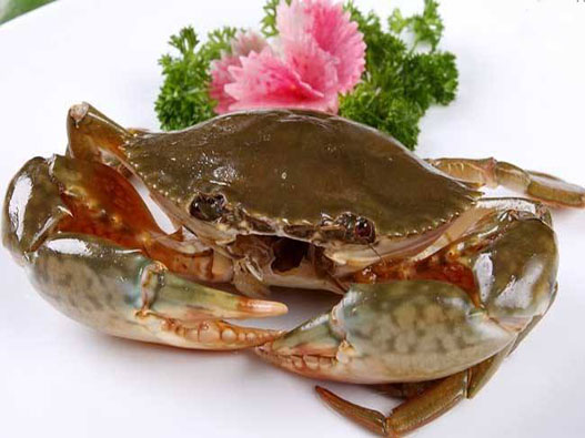 青蟹商標注冊哪一類?