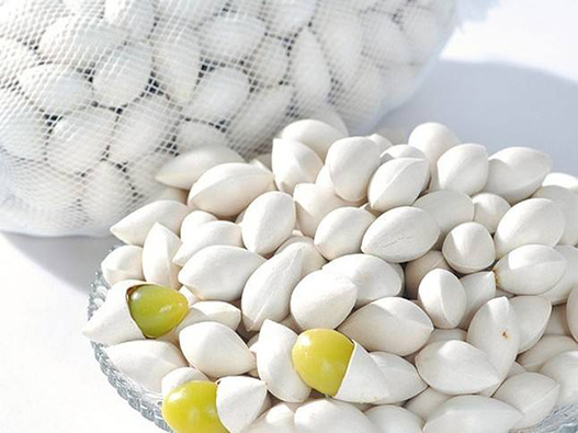 白果商標注冊哪一類?