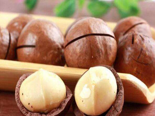 夏威夷果商標注冊哪一類?