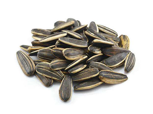 葵花子商標(biāo)注冊(cè)哪一類(lèi)?