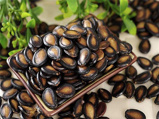 西瓜子商標(biāo)注冊(cè)哪一類(lèi)?