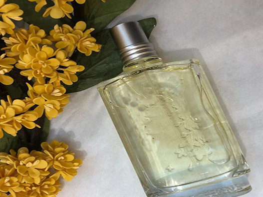 月桂味香水商標注冊哪一類?