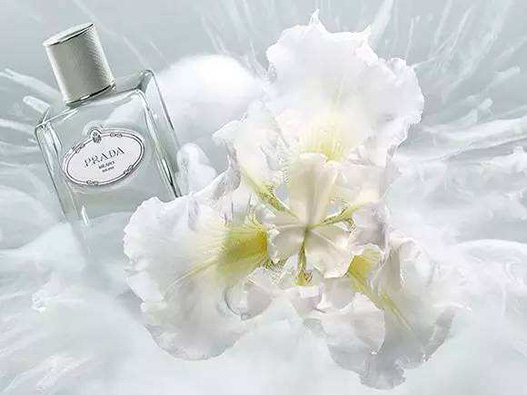 鳶尾花香水商標(biāo)注冊(cè)哪一類(lèi)?