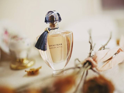 鳶尾花香水商標(biāo)注冊