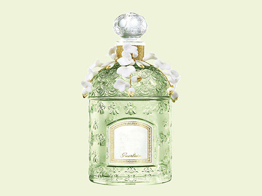 鈴蘭香水商標注冊