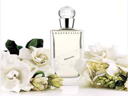 桅子花味香水商標注冊哪一類?