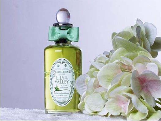 風(fēng)信子味香水商標(biāo)注冊(cè)