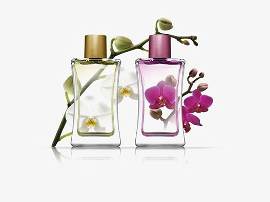 植物型香水商標(biāo)注冊