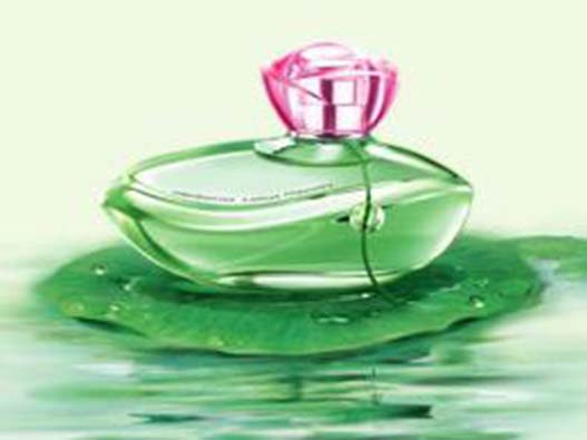 風(fēng)信子味香水商標(biāo)注冊(cè)