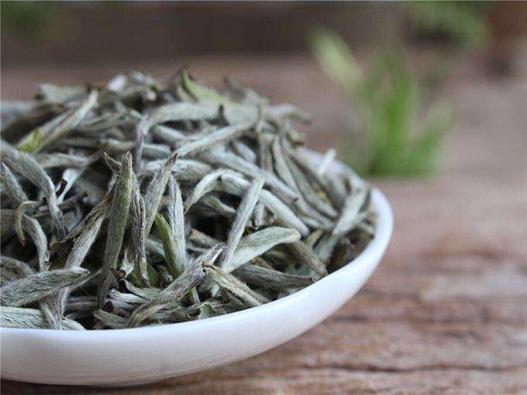 白毫銀針商標注冊哪一類?