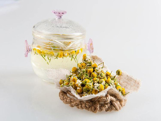 洋甘菊花茶商標(biāo)注冊(cè)