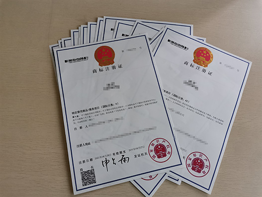 商標駁回復審全指南：關鍵問題與應對策略