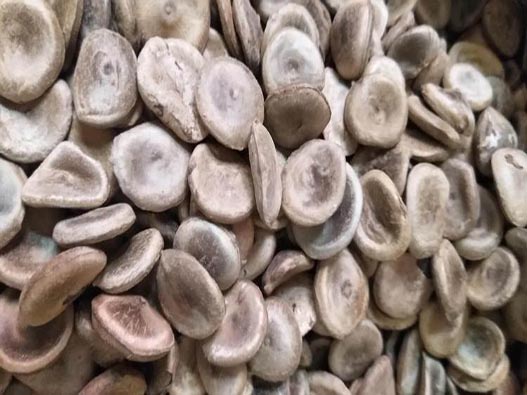 馬錢子商標注冊要多少費用?