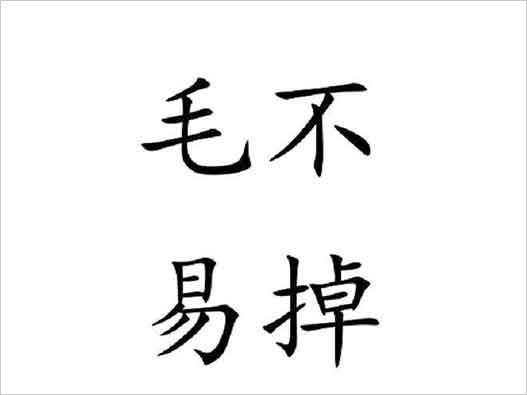 毛不易“毛不易掉”牙刷商標(biāo)注冊(cè)被搶注