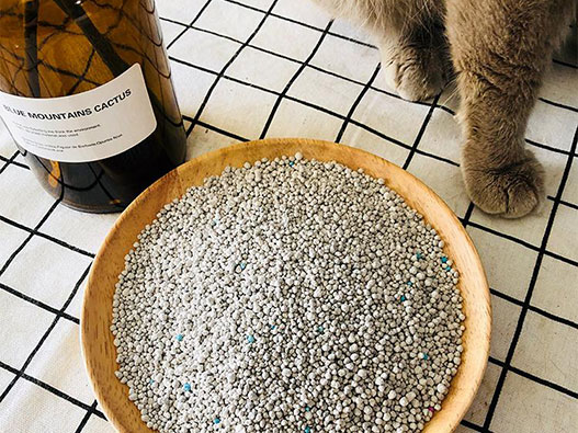 貓砂商標注冊哪一類?