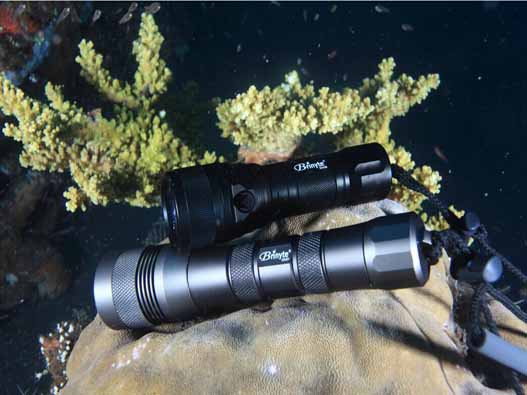 潛水燈商標注冊的費用有哪些？