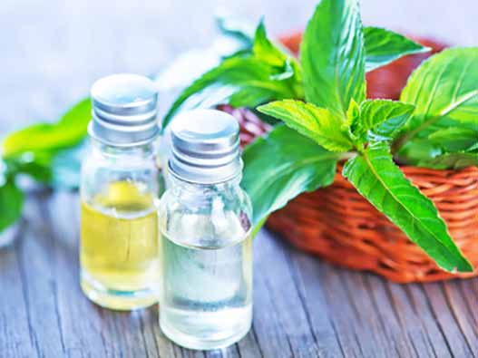 薄荷油注冊(cè)商標(biāo)