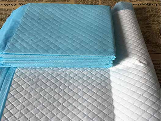 寵物尿布商標注冊屬于哪一類?