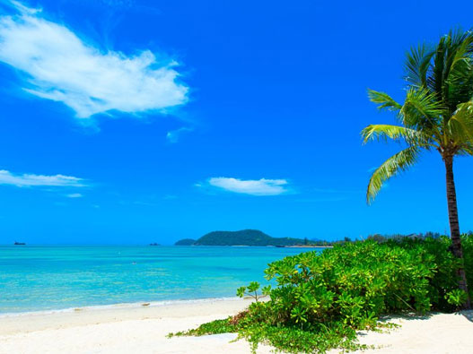 度假商標(biāo)注冊(cè)屬于哪一類？