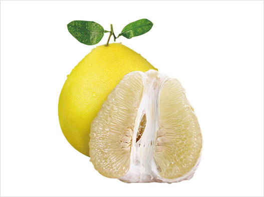 柚子商標注冊哪一類？