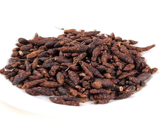 香附商標(biāo)注冊(cè)的費(fèi)用有哪些?