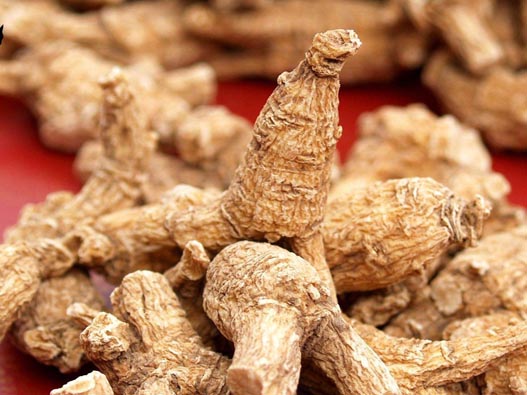 西洋參商標注冊的費用有哪些?