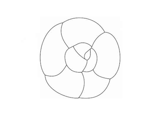 山茶花商標申請-香奈兒山茶花商標注冊