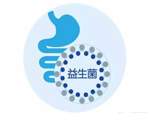 益生菌粉商標注冊的流程是什么?