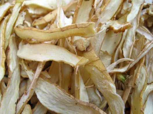 玉竹商標注冊的費用有哪些?