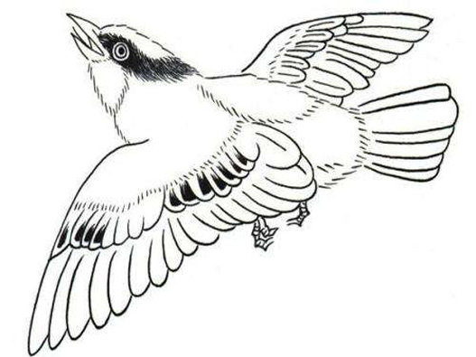 白描畫培訓商標注冊哪一類?