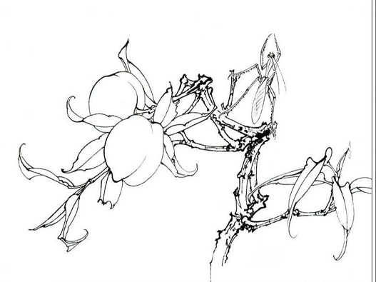 漫畫培訓商標注冊哪一類?
