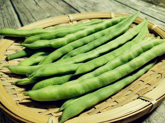 扁豆商標(biāo)注冊(cè)屬于哪一類?