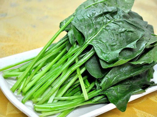 菠菜商標注冊哪一類?