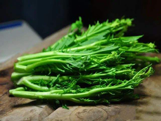 沖菜商標(biāo)注冊屬于哪一類?