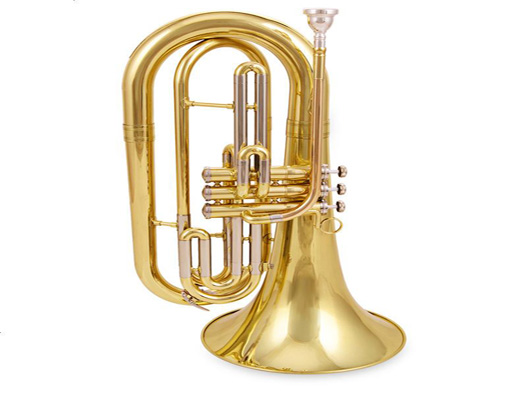 樂器大號培訓商標注冊哪一類?